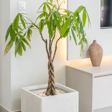 Agrilia Luxury Trapezaki וילה